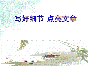 作文指导：写好细节,点亮文章ppt课件.ppt