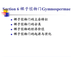 Section6裸子植物门Gymnosperma.ppt