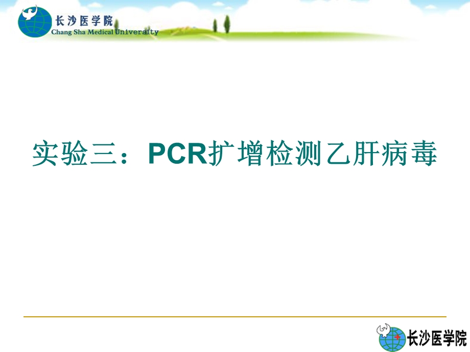 PCR扩增检测乙肝病毒.ppt_第1页