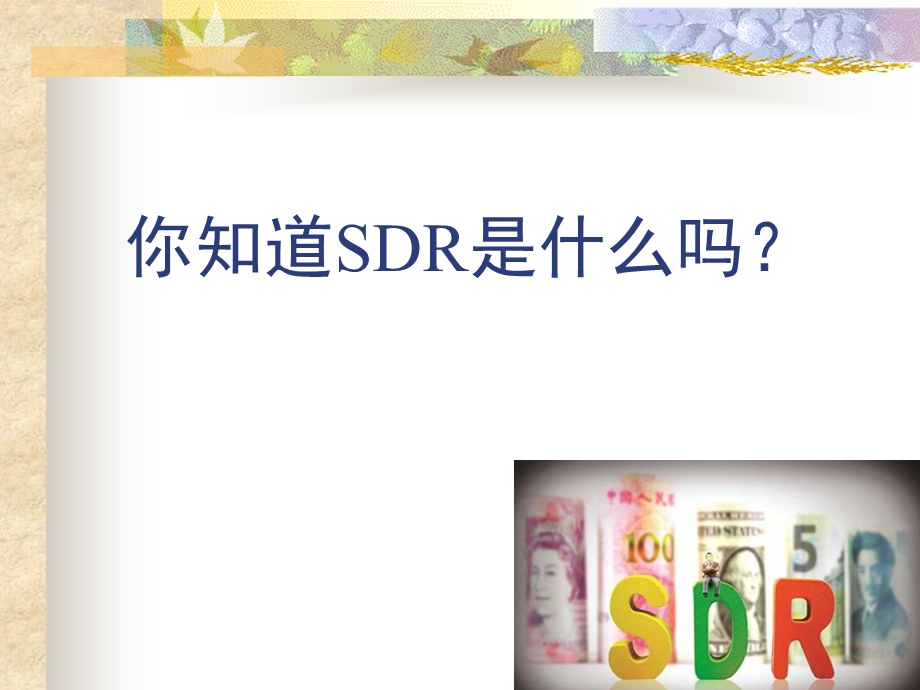 SDR特别提款权.ppt_第1页