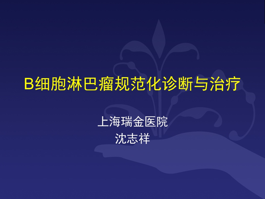 B细胞淋巴瘤诊疗规范-昆明.ppt_第1页