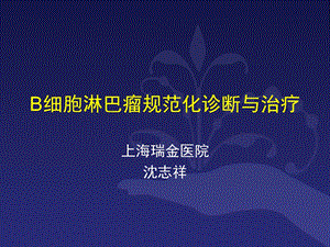 B细胞淋巴瘤诊疗规范-昆明.ppt