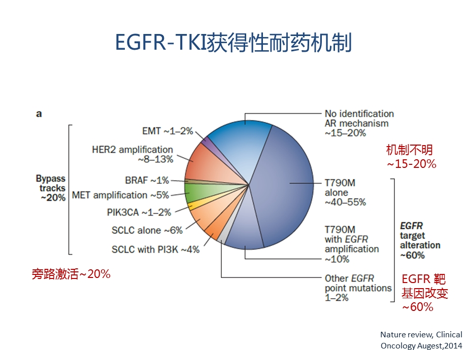 TKI耐药后治疗策略研究进展.ppt_第3页