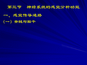 dd神经系统的感觉分析功能.ppt