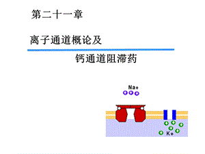 harm21钙通道阻滞药.ppt