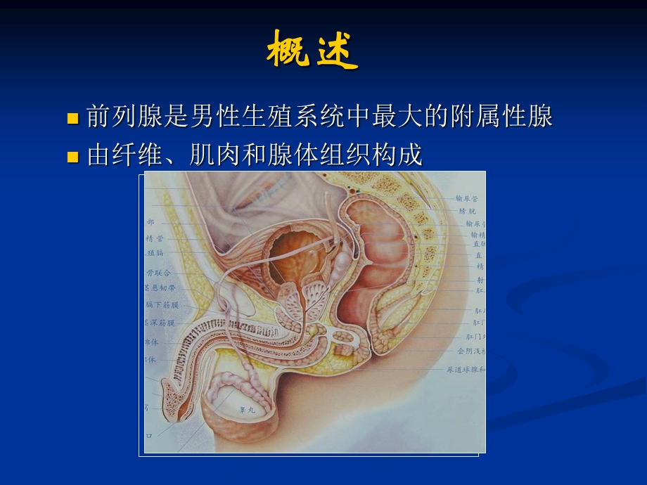 MRI波谱成像在前列腺癌诊断中的应用.ppt_第2页