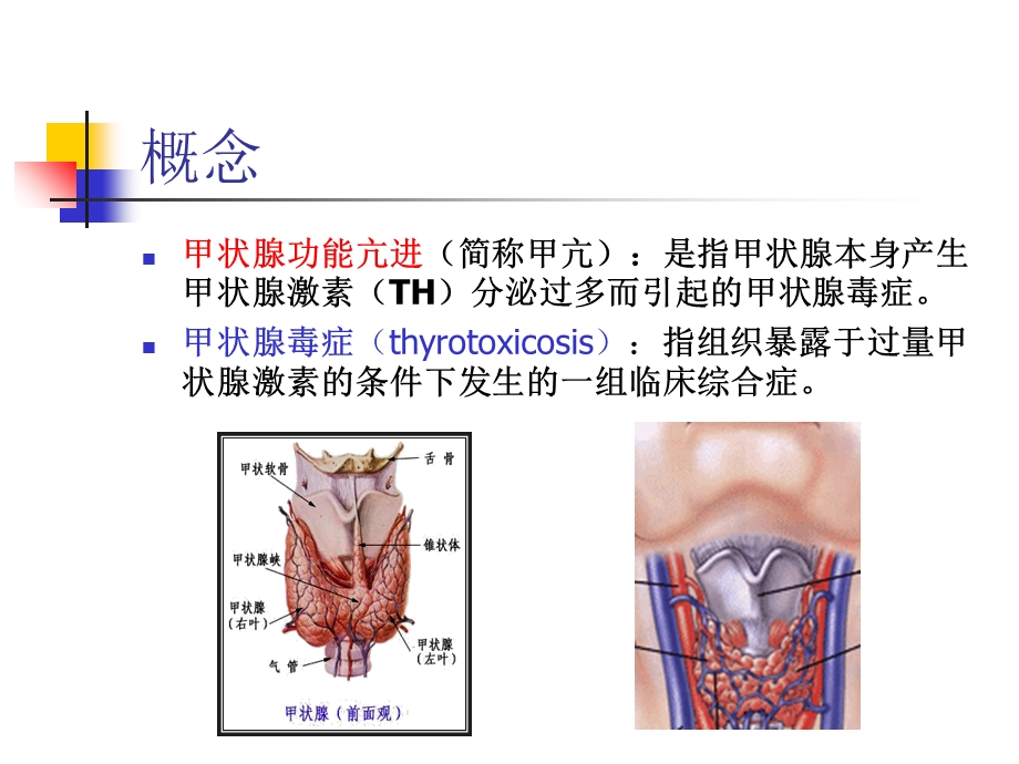 verygood甲状腺功能亢进症.ppt_第3页