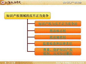 第二十五章知识产权领域的.ppt