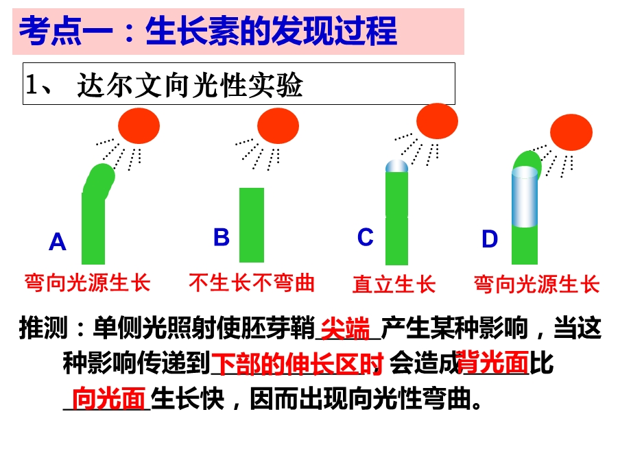 2017高三生物一轮复习植物的激素调节.ppt_第2页