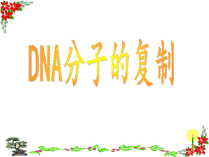 DNA分子的复制PPT-课件.ppt