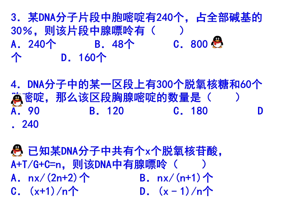 DNA分子结构和复制的计算.ppt_第2页