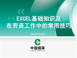 excel基础知识及在劳资工作中的常用技巧.ppt