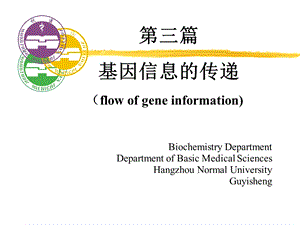 DNA复制生物化学.ppt