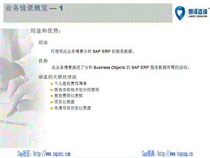 SAP服务分析-朗泽咨询.ppt