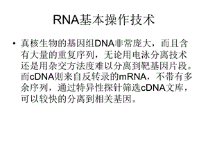 RNA基本操作技术.ppt