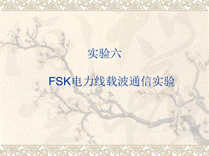 FSK电力线载波通信实验.ppt