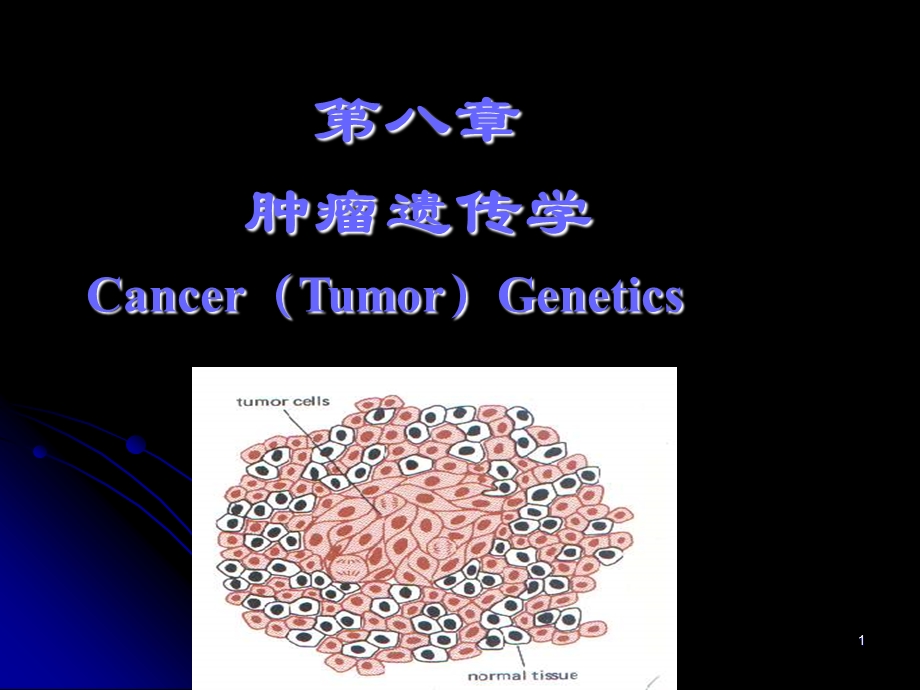 遗传学医用 (11).ppt_第1页