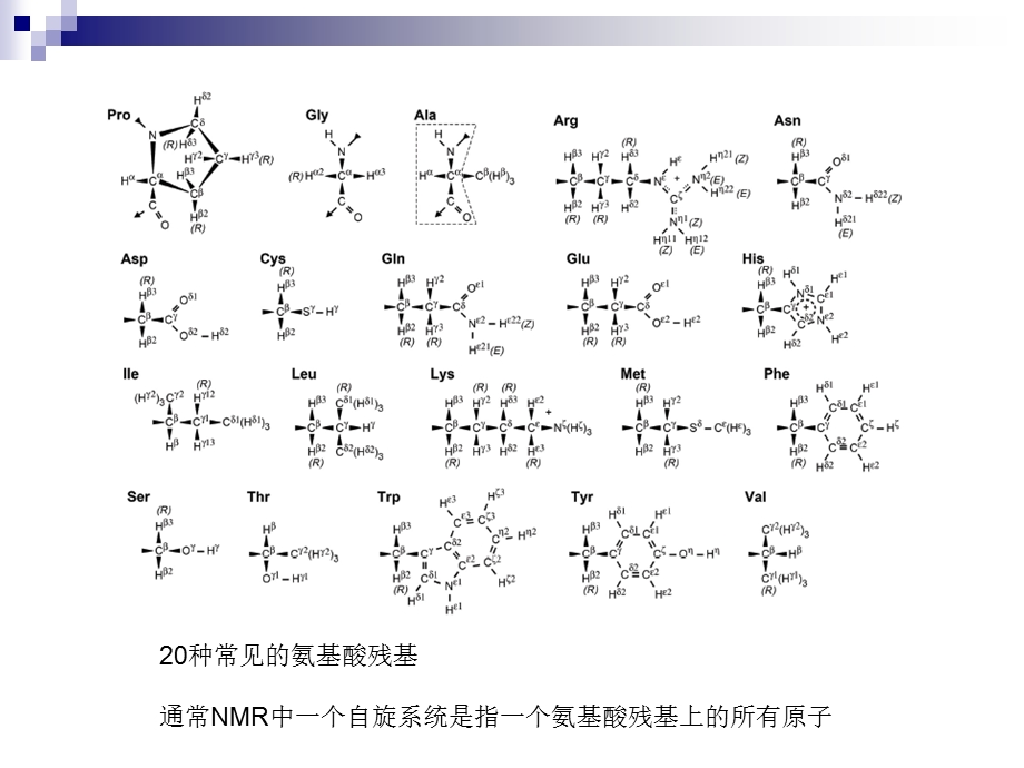 NMR方法解析蛋白质结构.ppt_第3页