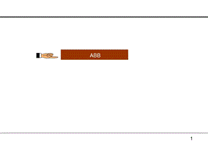 ABB和施耐德组织结构.ppt