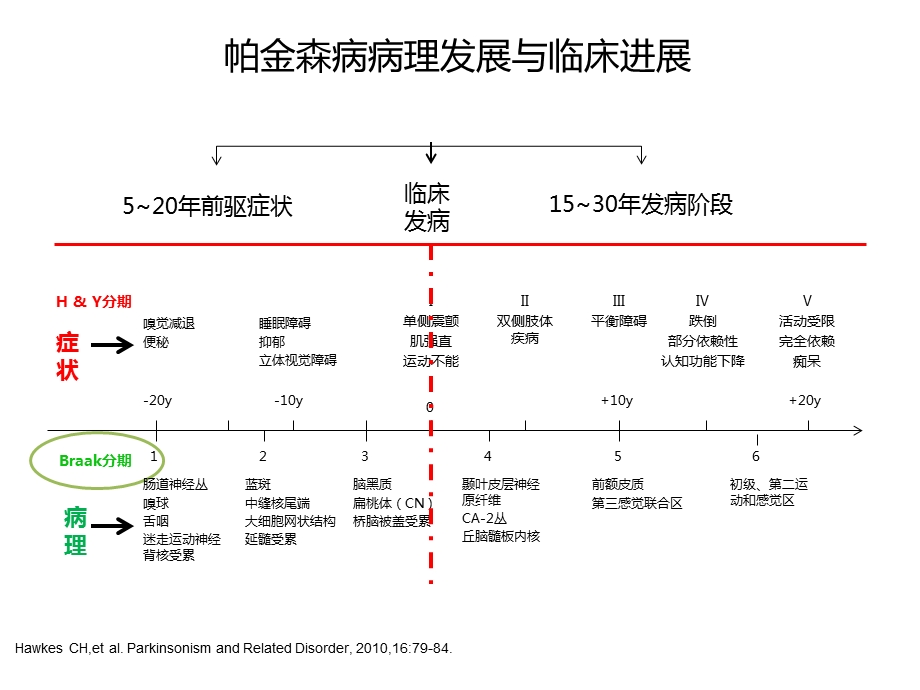 2015年MDS帕金森病临床诊断标准.ppt_第2页