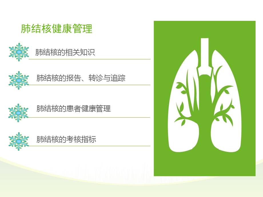 2017年肺结核培训.ppt_第2页