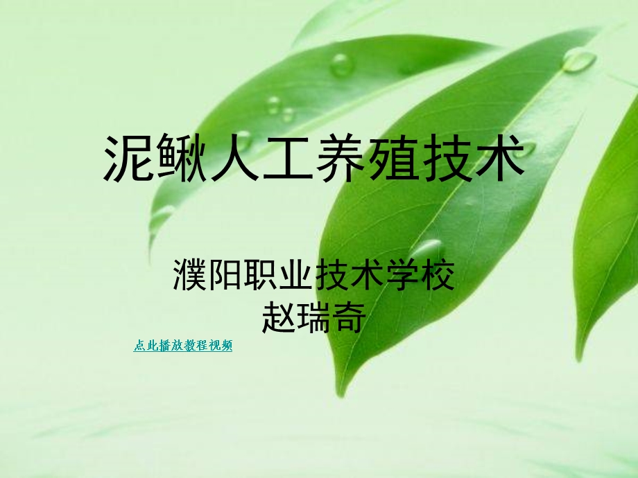 泥鳅人工养殖技术濮阳职业技术学校赵瑞奇.ppt_第1页