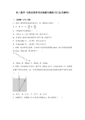 初二数学-勾股定理常考压轴题专题练习汇总(含解析)-.doc