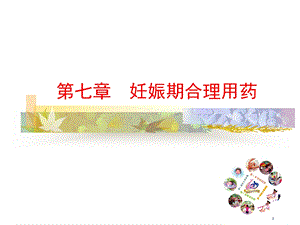 2014妊娠期合理用药.ppt