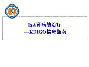 KDIGO临床指南-IgA肾病的治疗.ppt