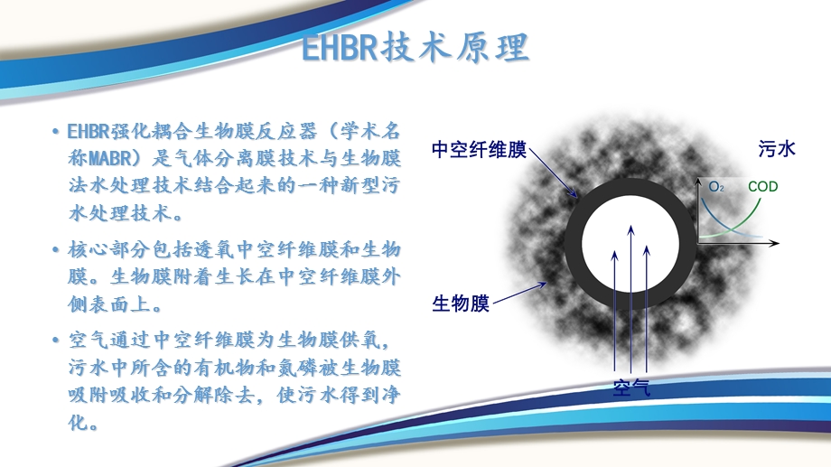 EHBR黑臭水体治理ppt.ppt_第3页