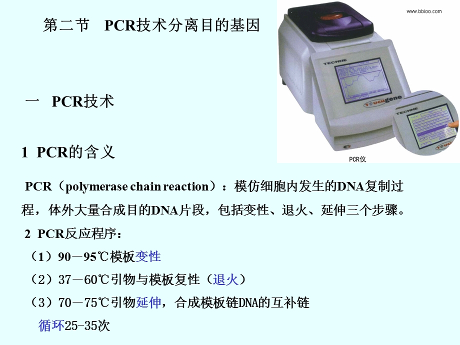 CR技术分离目的基因.ppt_第1页