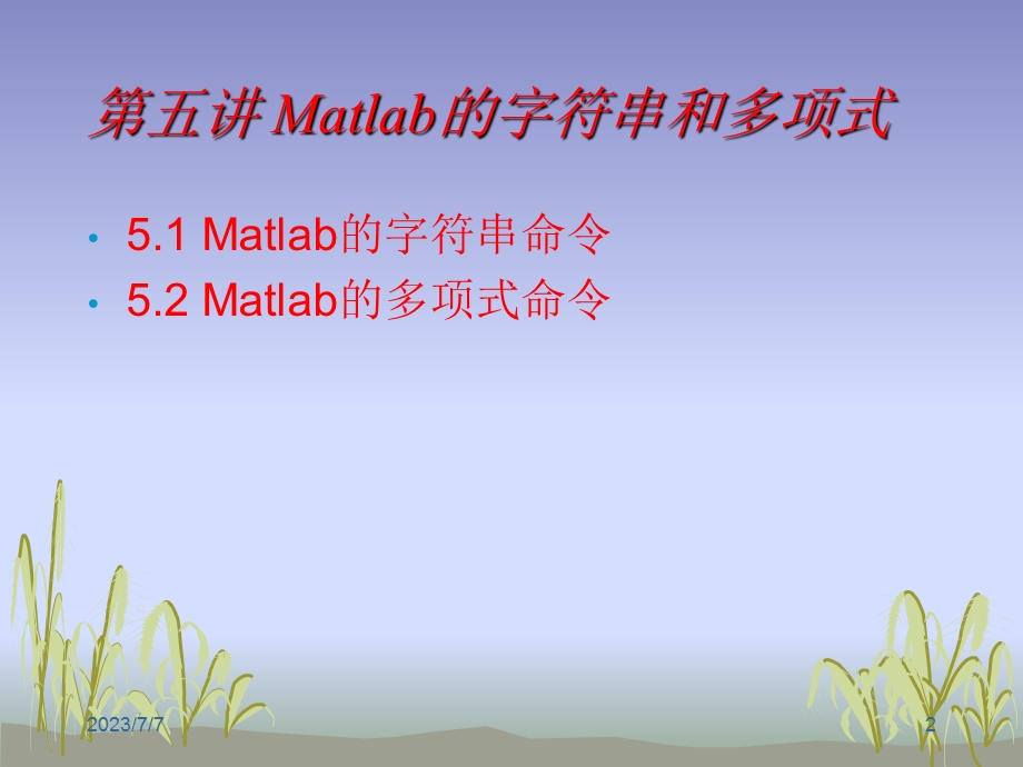 Matlab字符串和多项式.ppt_第2页