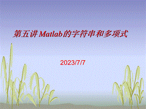 Matlab字符串和多项式.ppt