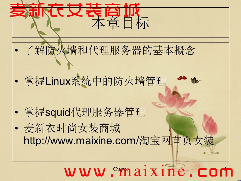 LINUX网络服务管理：代理服务器与防火墙.ppt_第3页