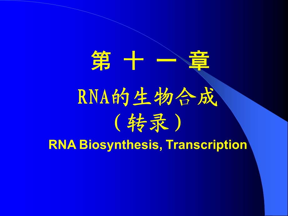 RNA生物合成11采用.ppt_第1页