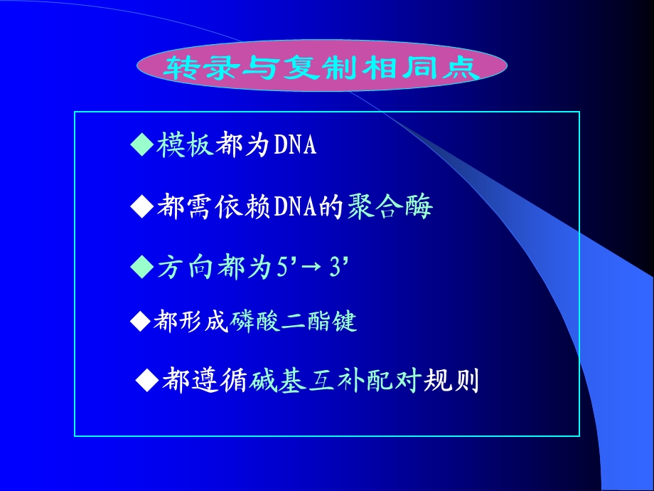 RNA生物合成11采用.ppt_第3页