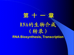 RNA生物合成11采用.ppt