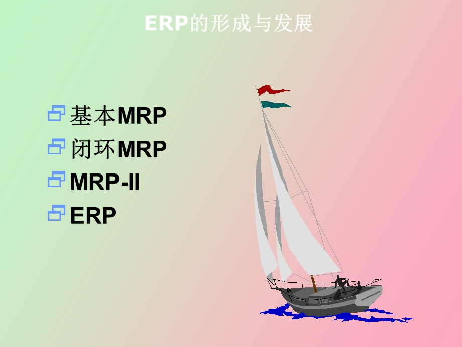 ERP管理信息系统前沿.ppt_第2页