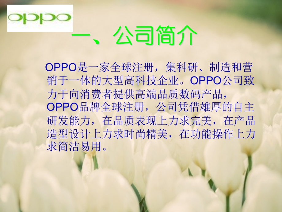 OPPO音乐手机策划分析ppt.ppt_第3页