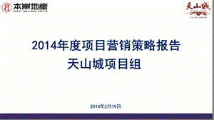 2014年度天津项目营销策略报告.ppt