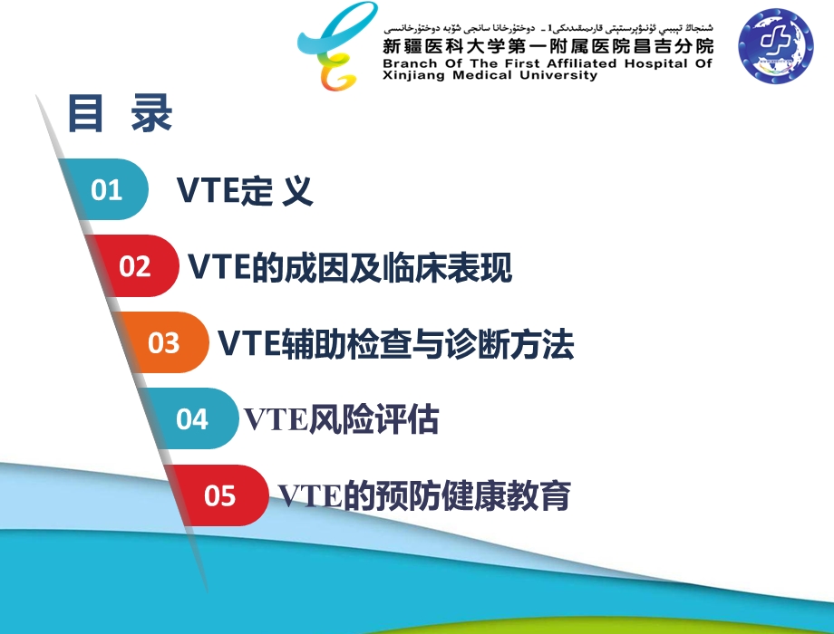 VTE预防健康教育.ppt_第2页