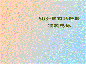 SDS聚丙烯酰胺凝胶电泳法测定蛋白质分子量.ppt