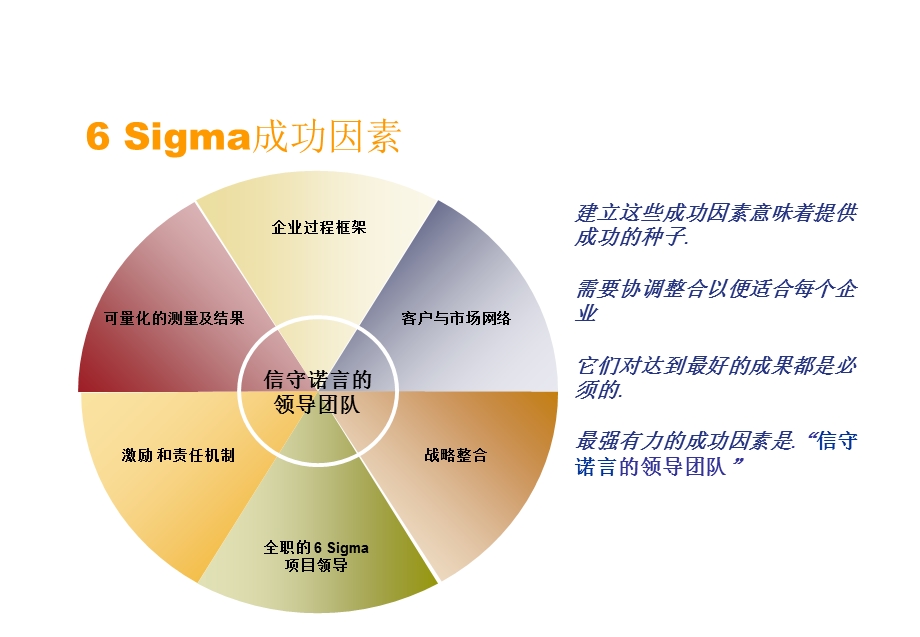Sigma成功因素.ppt_第1页