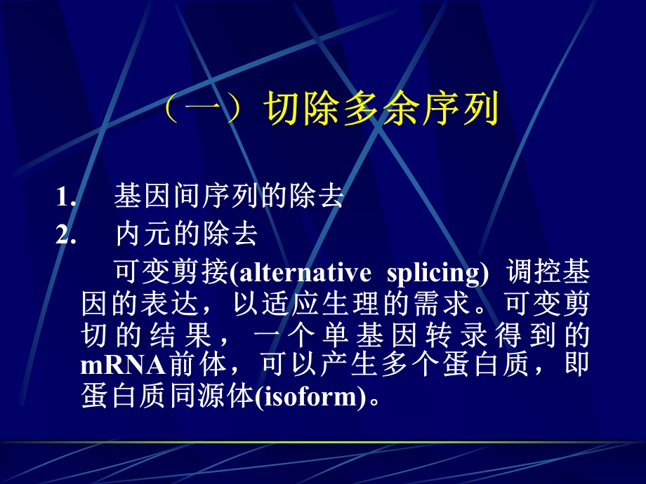 RNA加工水平的调控.ppt_第2页