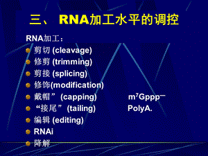 RNA加工水平的调控.ppt