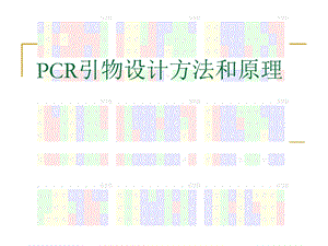 PCR引物设计方法和原理.ppt