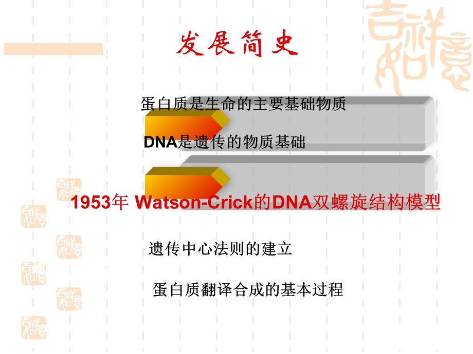 DNA复制转录翻译讲解.ppt_第3页