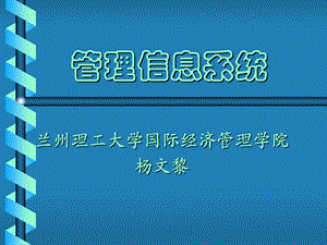 管理信息系统兰州理工大学国际经济管理学院杨文黎.ppt