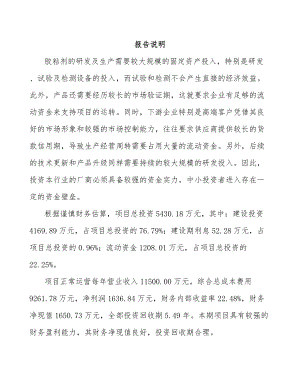 北京有机化学助剂项目可行性研究报告.docx