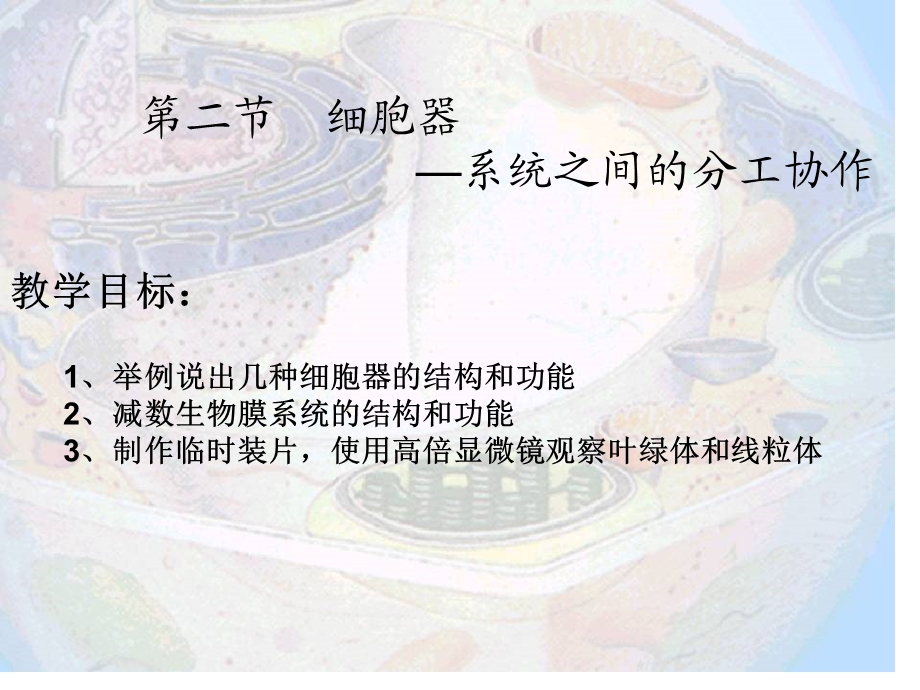 细胞器之间的分工协作.ppt_第1页